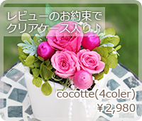 cocotte(4coler)￥2,980