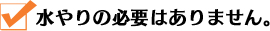 水やりの必要はありません。