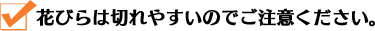 花びらは切れやすいのでご注意ください。