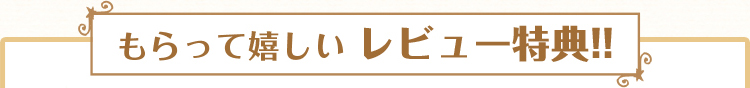 しあわせの鳥『ピッピ』が、皆さまの想いをお花に込めて、大切にお届けします。