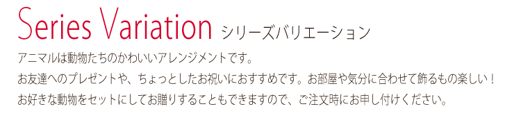 当店人気のかわいいアニマルプリザ「アニマム」